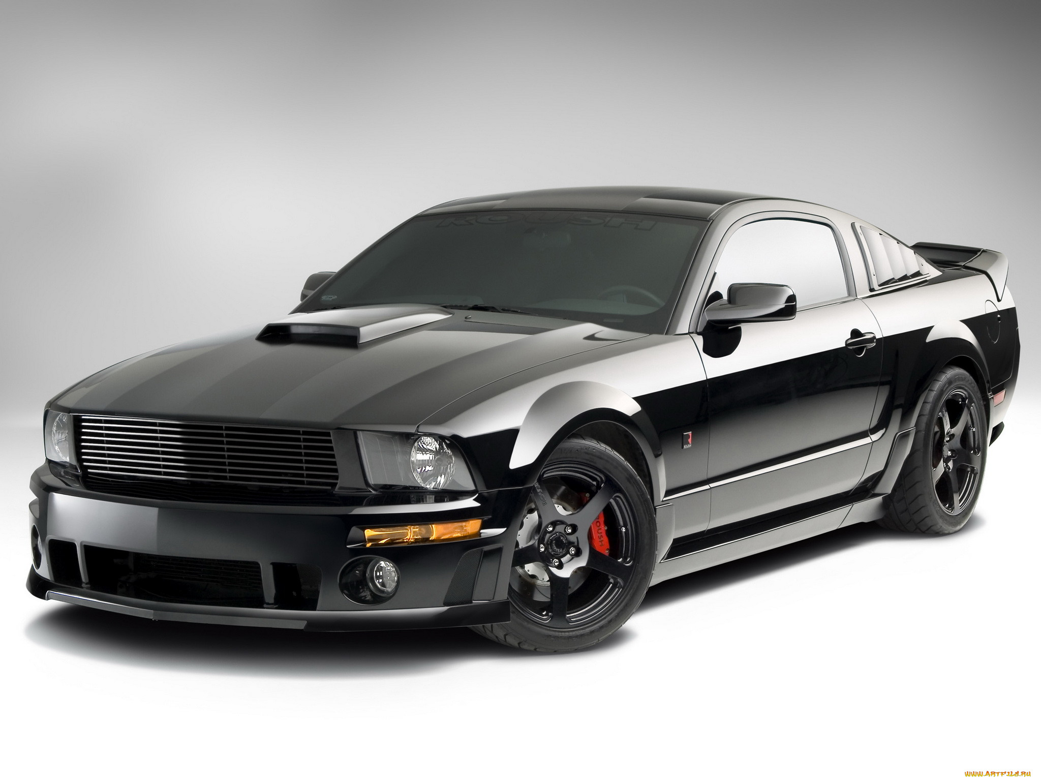 , mustang